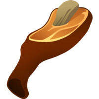 Roasted Ox Leg