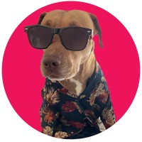 Soka Sands Creative, LLC logo - Similar company to Gen Z For New Jersey