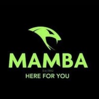 Mamba Strike Force (PTY) LTD logo - Similar company to Mamba Security