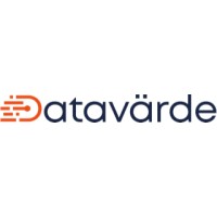 Datavärde logo - Similar company to Wireflow Ab