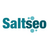 Saltseo Marketing Consultancy logo - Similar company to Tech Consortium Inc