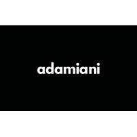 ADAMIANI logo - Similar company to Adness – Dating Ad Network