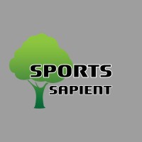 NFL Sapient logo - Similar company to Jri Cards
