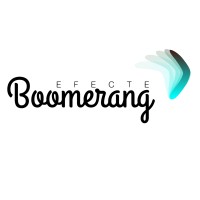 Efecte BOOMERANG logo - Similar company to Efecte