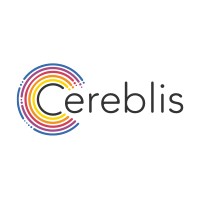 Cereblis logo - Similar company to Temys.Ai