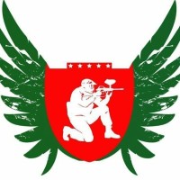 Paintball Bangladesh logo - Similar company to Art Interiors