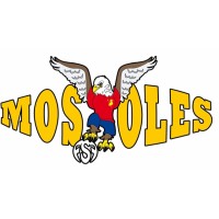 FSF Móstoles logo - Similar company to La Cofradía