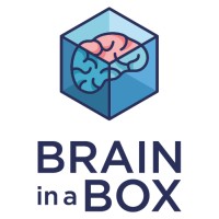 Brain In A Box