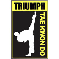 Triumph Tae Kwon Do logo - Similar company to Dear Petite