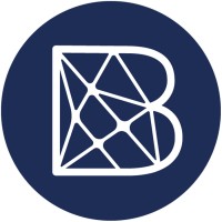 Blue Service | Inteligência em Assistência e Benefícios logo - Similar company to Magicel