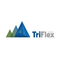 Triflex Projects logo - Similar company to Integration Group Pty Ltd