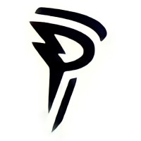 Prodigy Sports Network logo - Similar company to Rep Worldwide