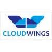 Cloudwings Solutions Private Limited logo - Similar company to Insight Software Solutions, Lda
