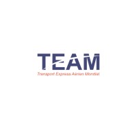 TEAM International logo - Similar company to Thema Trans
