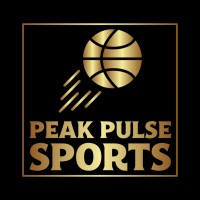 Peak Pulse Sports logo - Similar company to Consistent Daily
