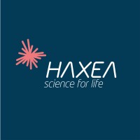 Haxea Brasil logo - Similar company to Kcen Comércio E Representações S.A.