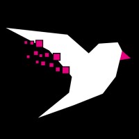 kineo.ai logo - Similar company to Neurocat