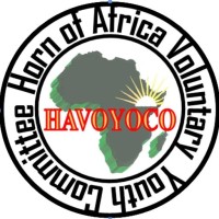 HAVOYOCO logo - Similar company to Havoyoco U.S.A