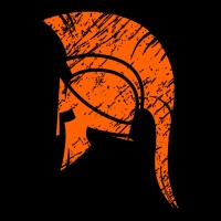 The Spartans logo - Similar company to Level Up It Solution