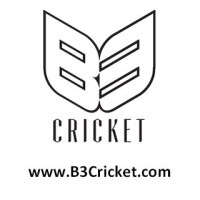 B3 Cricket (International) Limited logo - Similar company to Dynamicspact