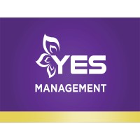 YES Group of Companies logo - Similar company to Yes! Immigration Consultancy Services