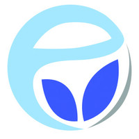 Essence IT Solutions logo - Similar company to Rainbow8Lion
