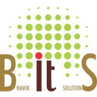 Bhavik IT Solutions logo - Similar company to Fortune Info Solutions