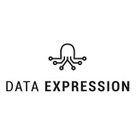 Data Expression logo - Similar company to Data Inception