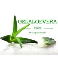 Gel Aloe Vera Team logo - Similar company to Forever Aloe Vera