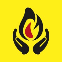 DSSafe logo - Similar company to Avl Technology