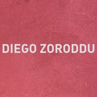 DIEGO ZORODDU logo - Similar company to Partybio