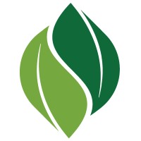 NSI Kish logo - Similar company to Hpaq Hesse Panjom Arian Qeshm