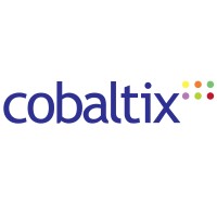 Cobaltix logo - Similar company to Langcorrect