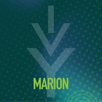 Ivy Tech Marion logo - Similar company to Ivy Tech Community College Talent Development