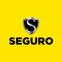 SEGURO SEGURANÇA logo - Similar company to Singular