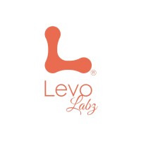 Levo Labz logo - Similar company to Luft Fans