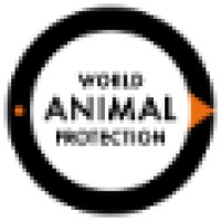 World Animal Protection India logo - Similar company to Lomejor Tech