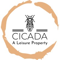 Cicada logo - Similar company to Readydedis, Llc