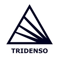 Tridenso logo - Similar company to Geomod Ingénieurs Conseils Sa