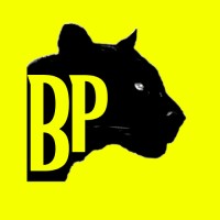 Bilge Panter logo - Similar company to Linu Gmbh