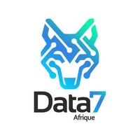 Data 7 Afrique logo - Similar company to Acc Togo