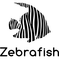 Zebrafish logo - Similar company to Studiodewinter