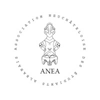 Association Neuchâteloise des Étudiants Albanais (ANEA) logo - Similar company to Association Française Des Etudiants Albanais - Afea