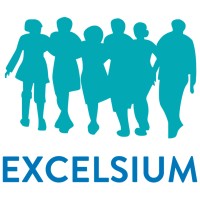Excelsium Consultora logo - Similar company to Autism Friendly Training