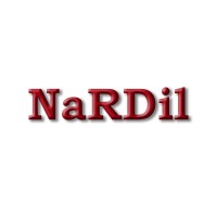 NaRDil logo - Similar company to Dbm Vircon