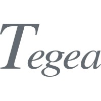 Tegea Srl logo - Similar company to Idimed