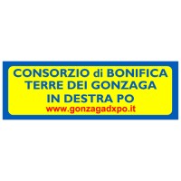 Consorzio di bonifica Terre dei Gonzaga in Destra Po logo - Similar company to Ayrion S.P.A.