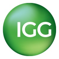 Independent Governance Group (IGG) logo - Similar company to Vidett Limited