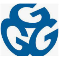 Gold Gerstein Group - Voorhees logo - Similar company to Differential Trading