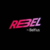 Re=Bel by Belfius logo - Similar company to Valem Studio